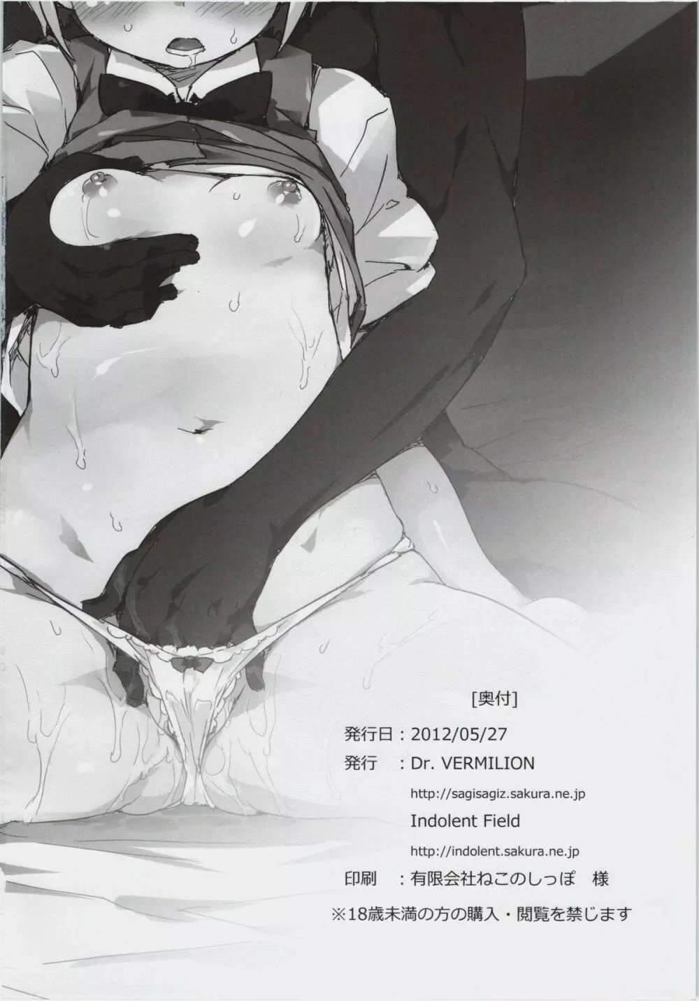 魂魄妖夢の性教育 - page20