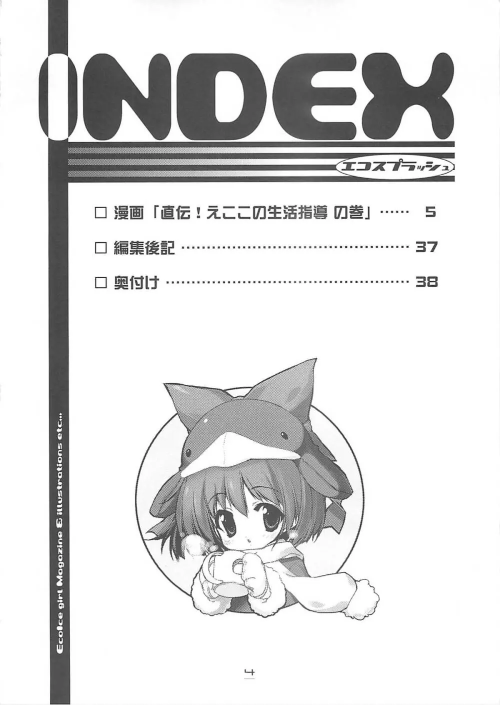 エコスプラッシュ6 - page3