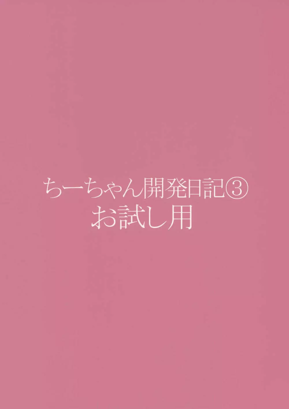 ちーちゃん開発日記3 お試し用 - page14