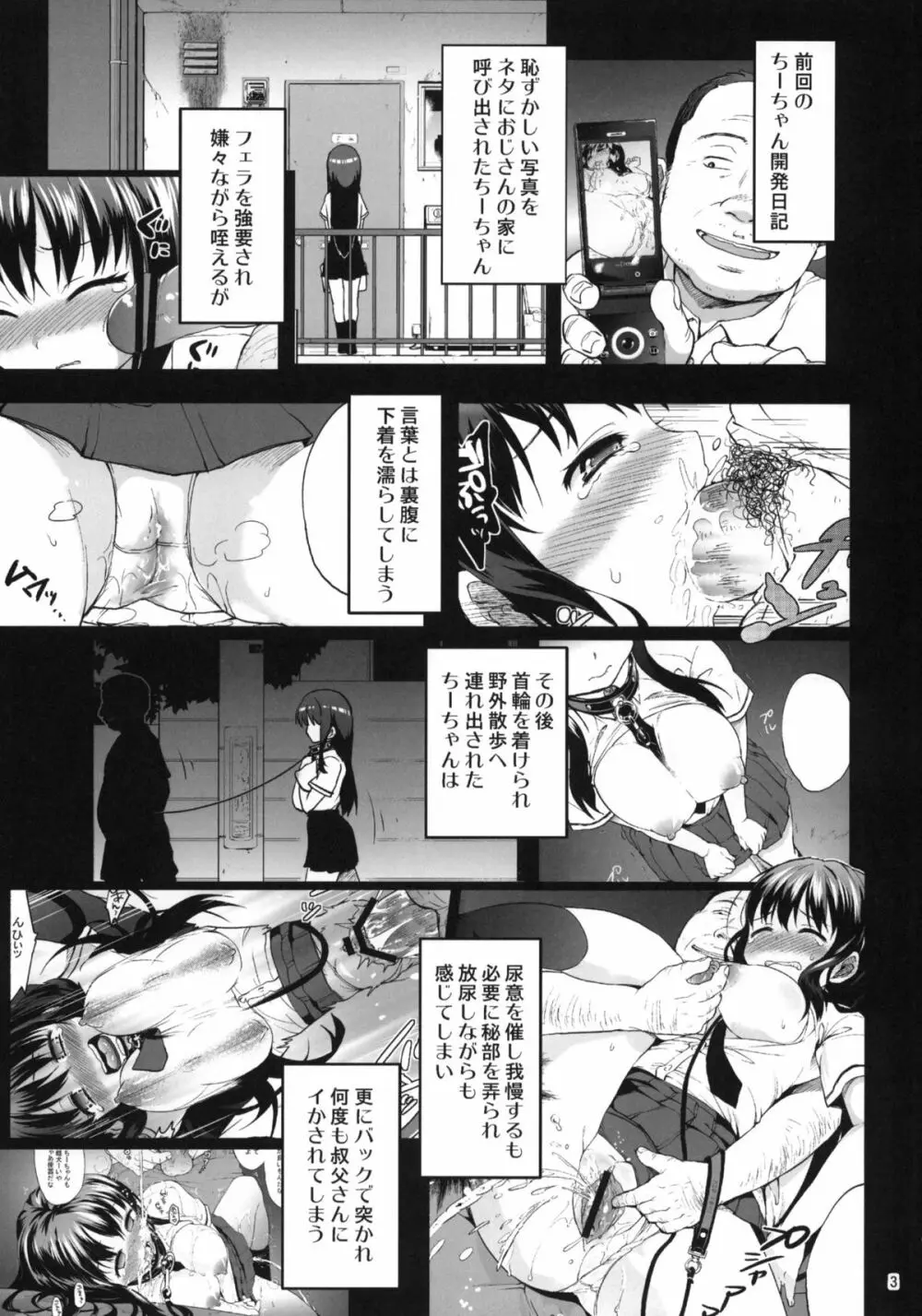 ちーちゃん開発日記3 お試し用 - page2