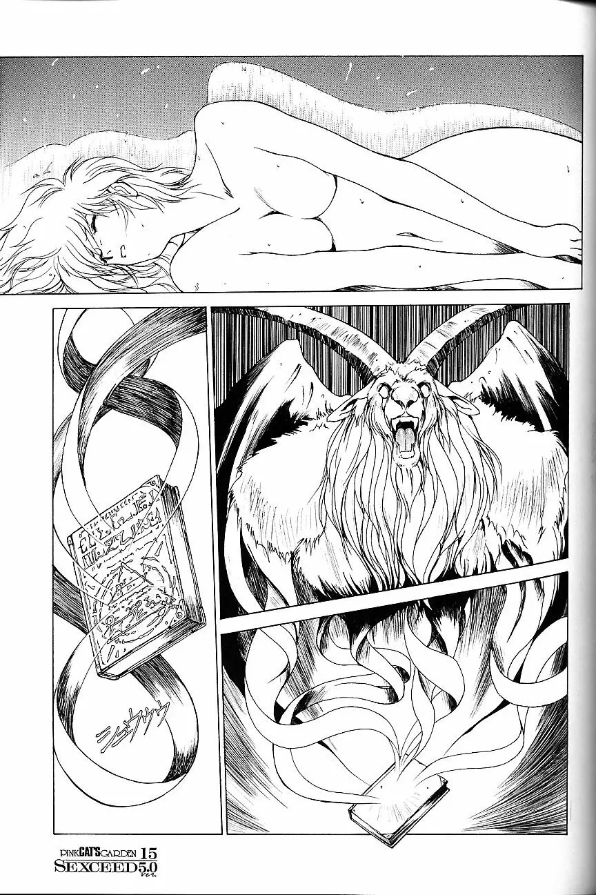 SEXCEED ver.5.0 - page14