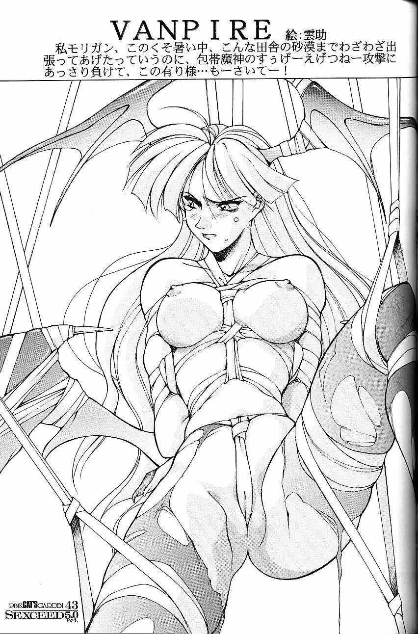 SEXCEED ver.5.0 - page42