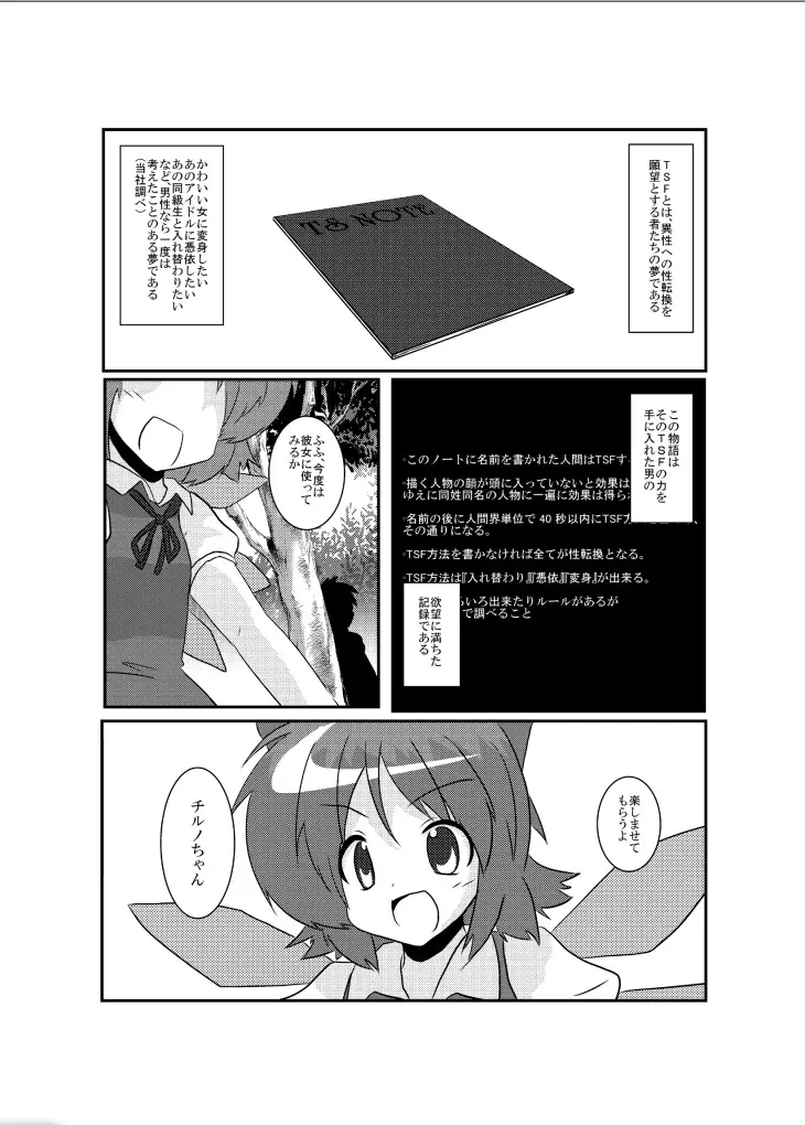 東方TS物語～チルノ編～ - page5