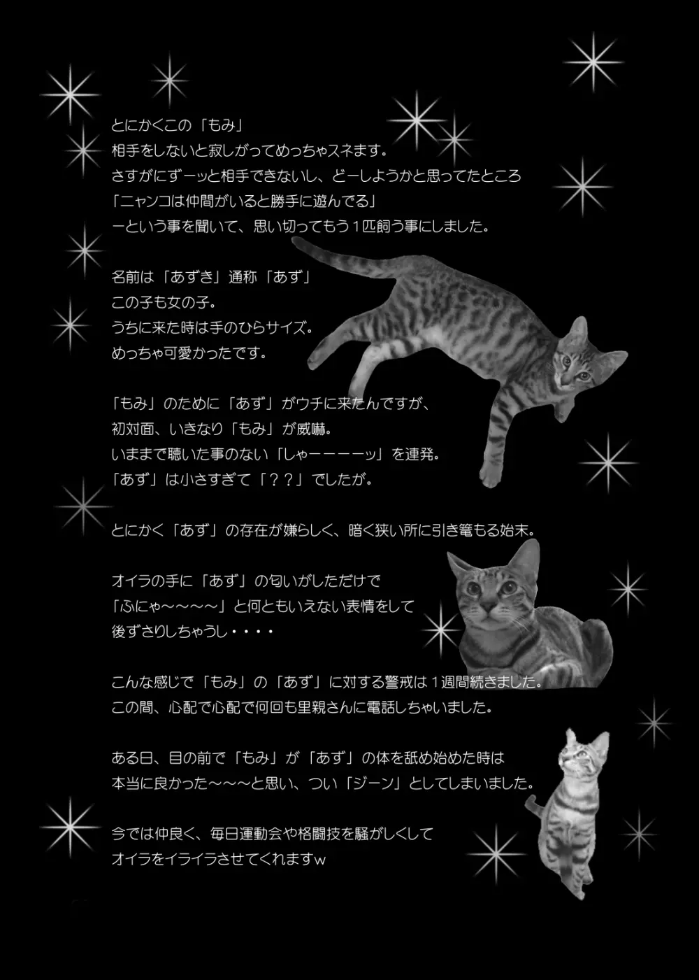 回転野望 - page32