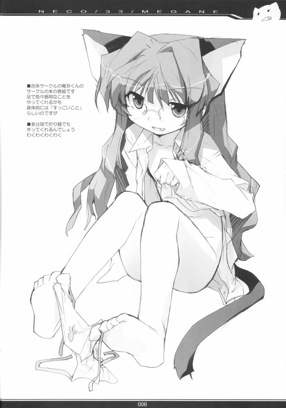 NECO/33/MEGANE - page5