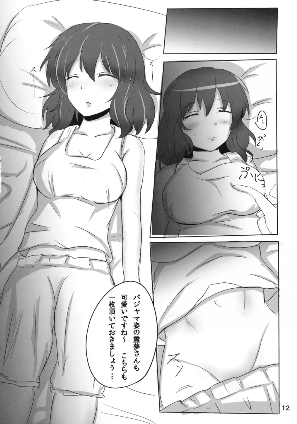 霊夢さん裏取材記録 - page12