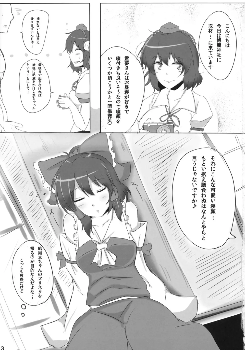 霊夢さん裏取材記録 - page3