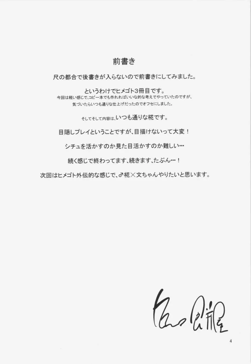ヒメゴト 2.5 - page3