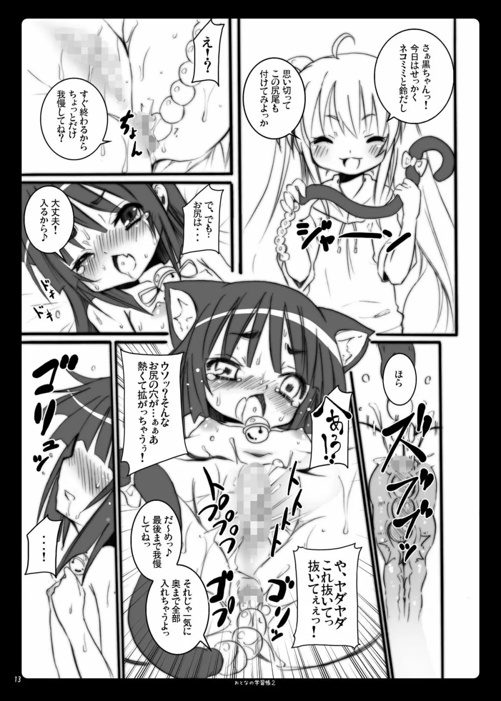 おとなの学習帳2 - page13