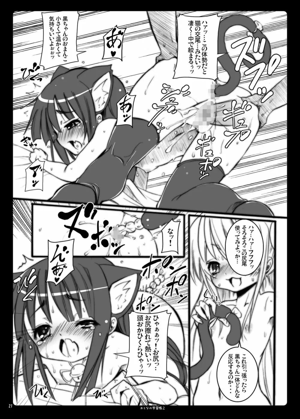 おとなの学習帳2 - page21