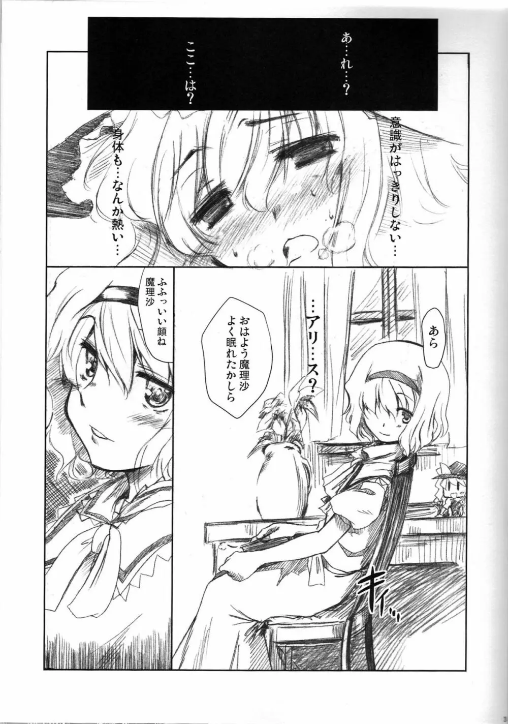 魔理沙のえっちな本 - page3