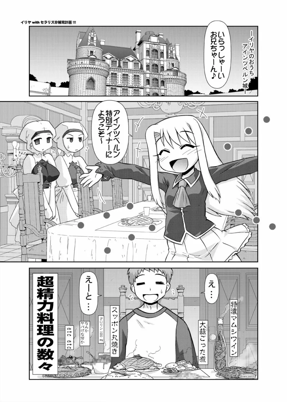 イリヤ分補完計画!2,3,4パック - page88