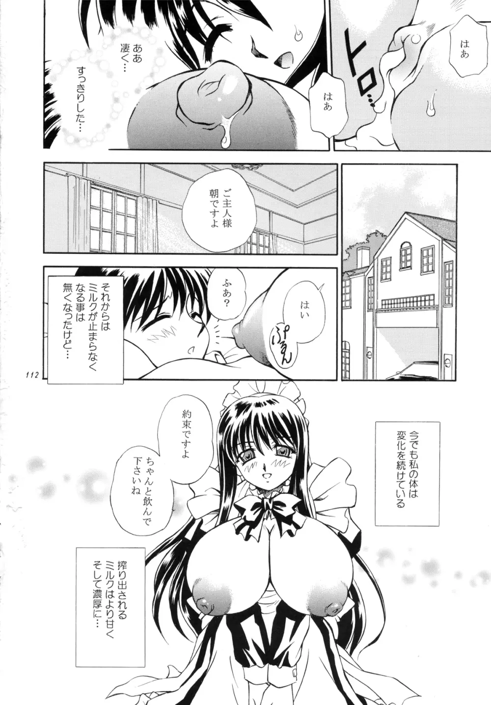 DOLLS DIARY -ReMix- - page112