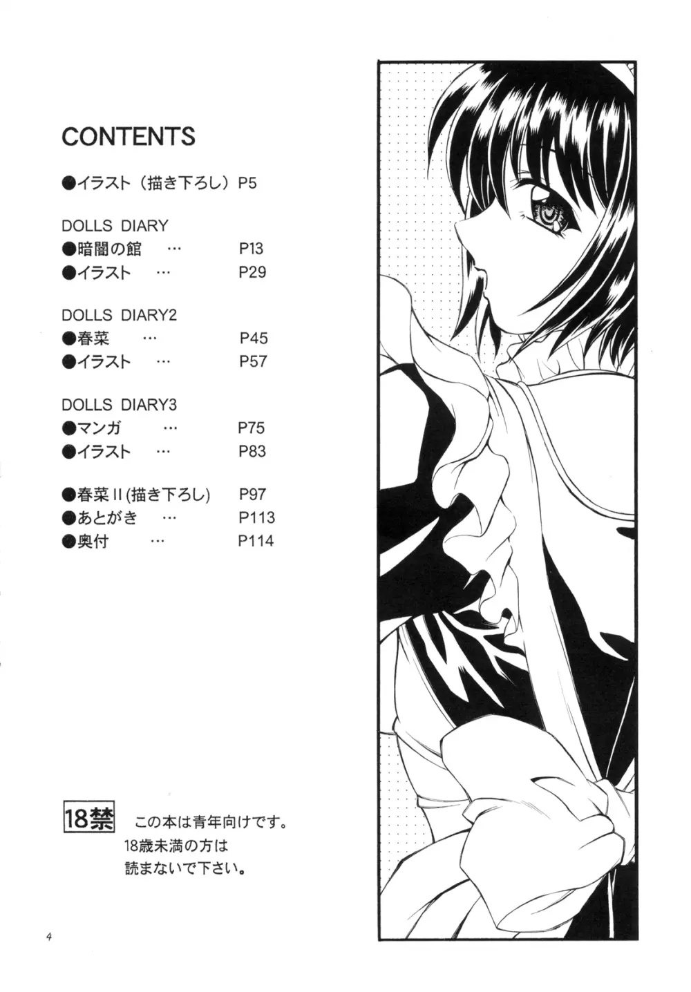 DOLLS DIARY -ReMix- - page4