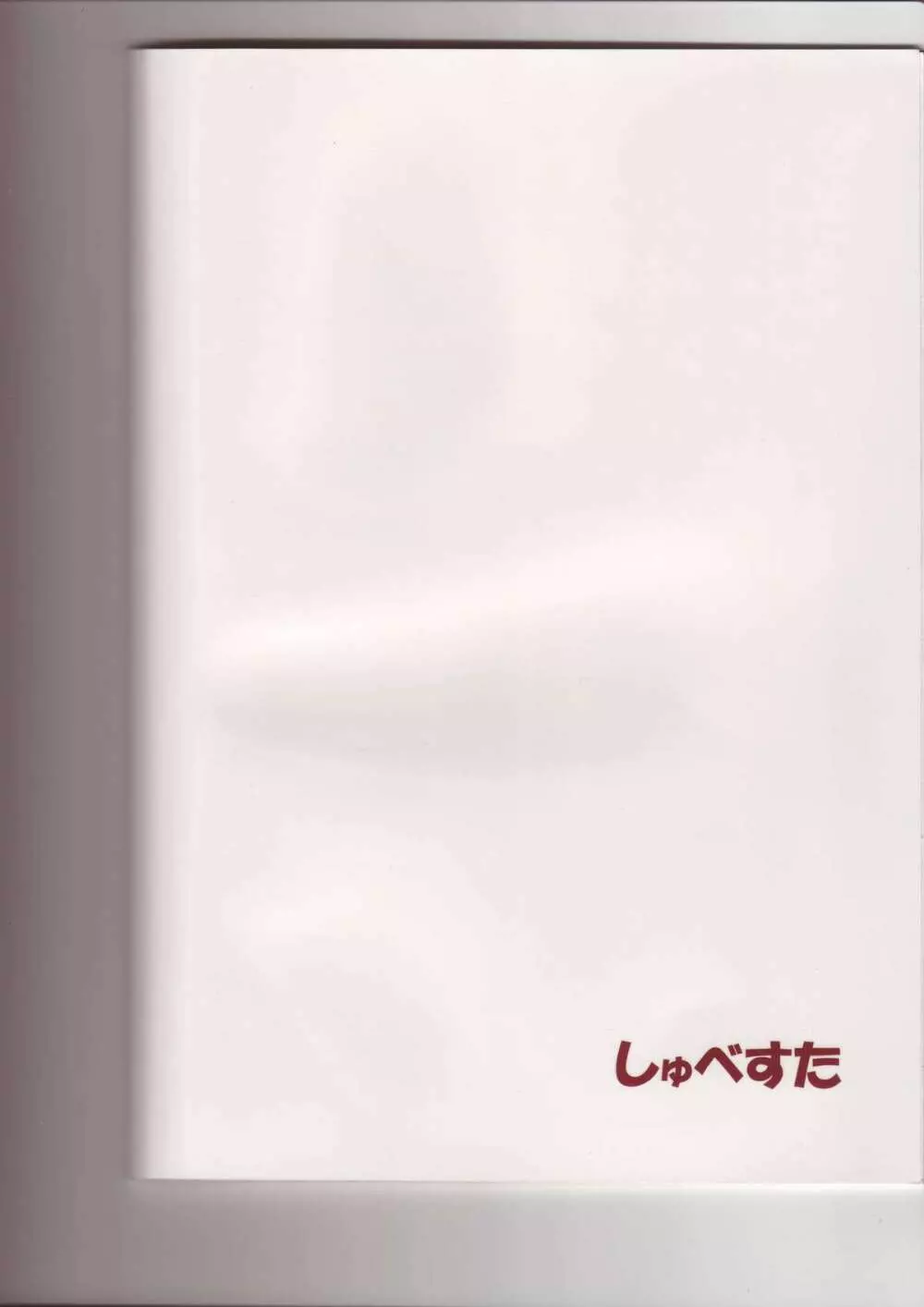 コスって！パチュリー！！2 - page14