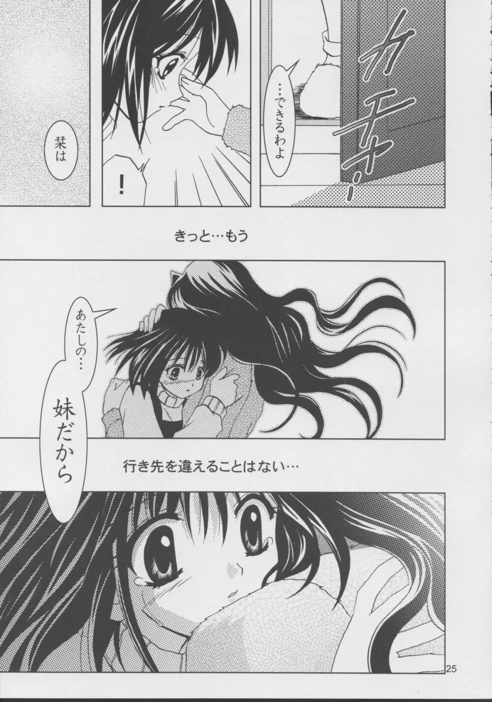 KANONIZUMU・XV かのにずむ・XV - page24