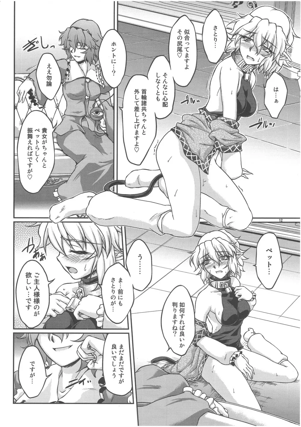 (C82) [幸撃 (大月渉)] 鉄(物の付いた首)輪 (東方Project) - page11