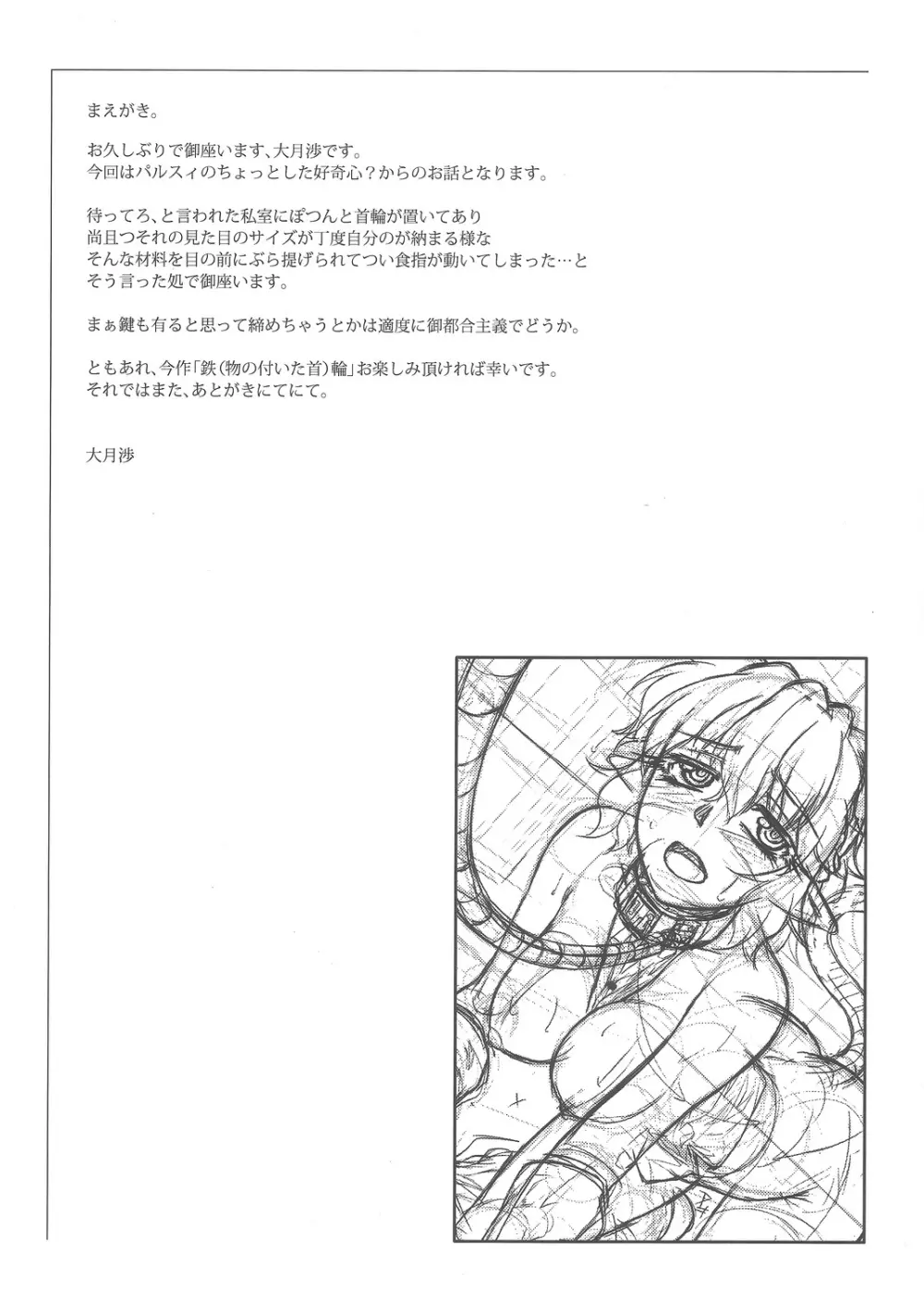 (C82) [幸撃 (大月渉)] 鉄(物の付いた首)輪 (東方Project) - page7