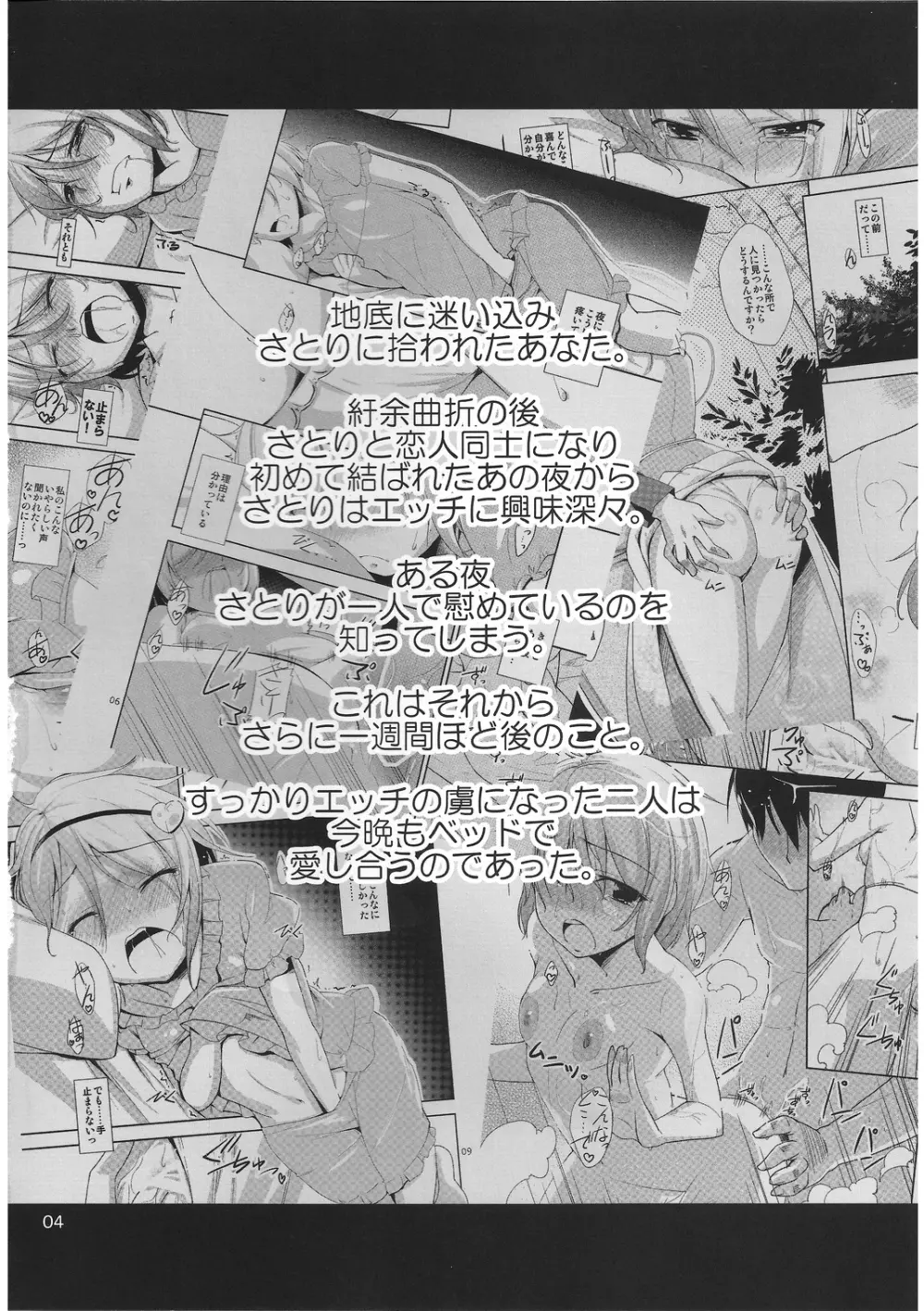 (例大祭9) [なつのうみ (夏海あきら)] 心恋 -ウラコイ- Vol.3 (東方Project) - page3