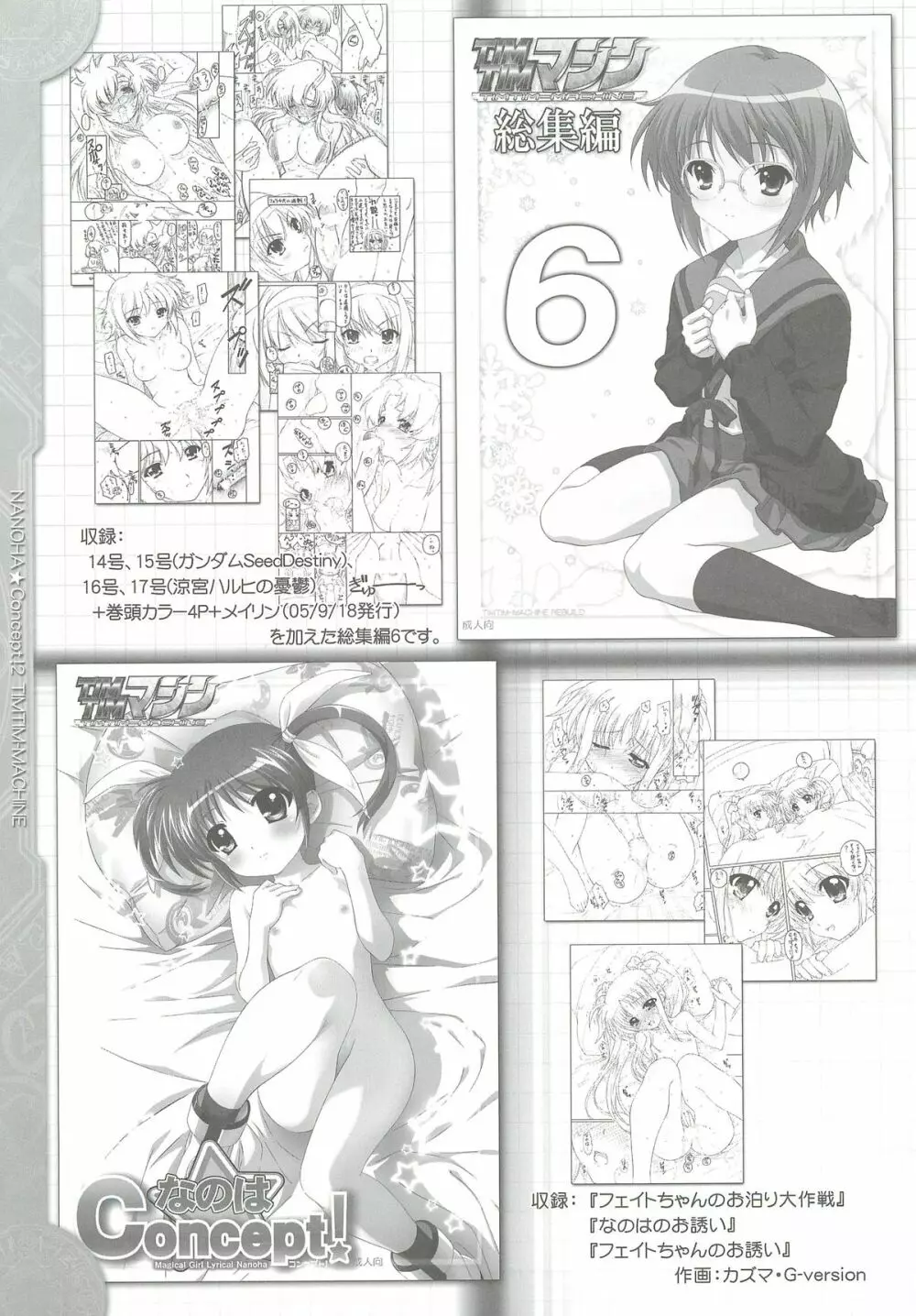 TIMTIMマシン なのはConcept!2 - page25
