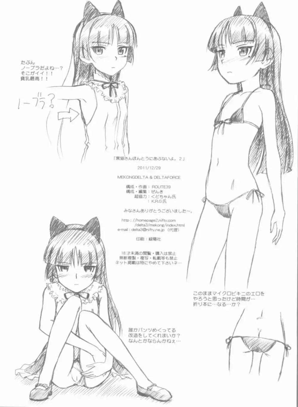 黒猫さんほんとうにあぶないよ。2 - page26