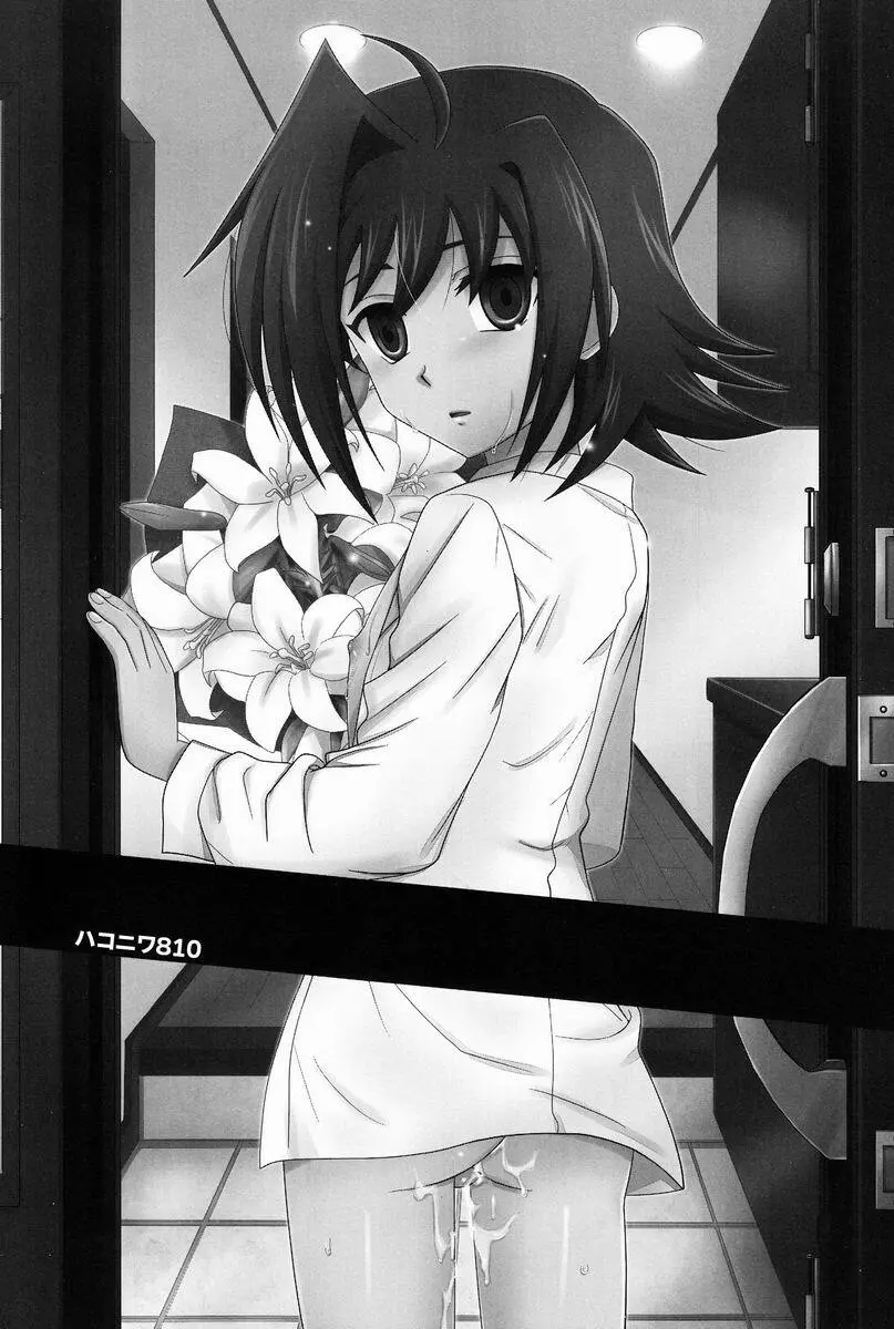 箱庭810 - page2