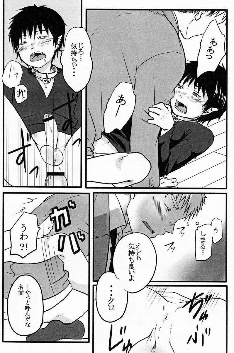 Suikaku Kouji (Plus or Minus) - Black Cat - page15