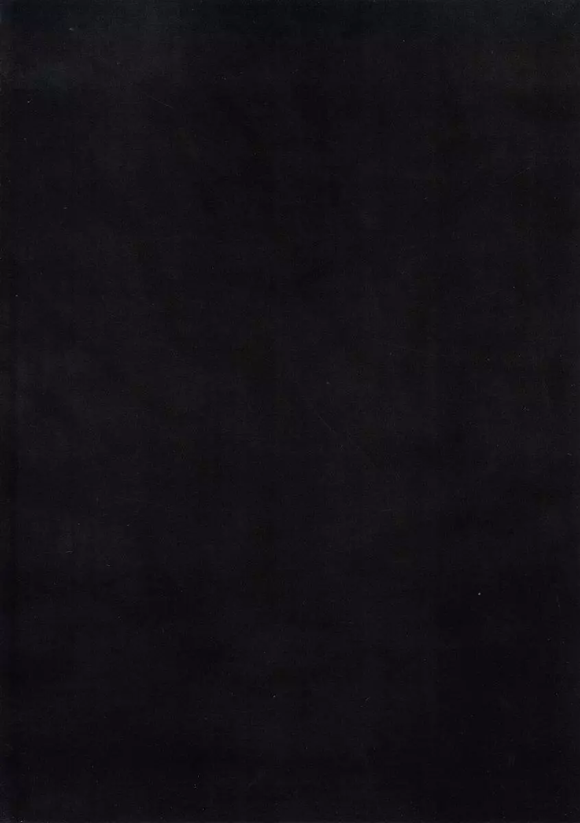 Suikaku Kouji (Plus or Minus) - Black Cat - page22