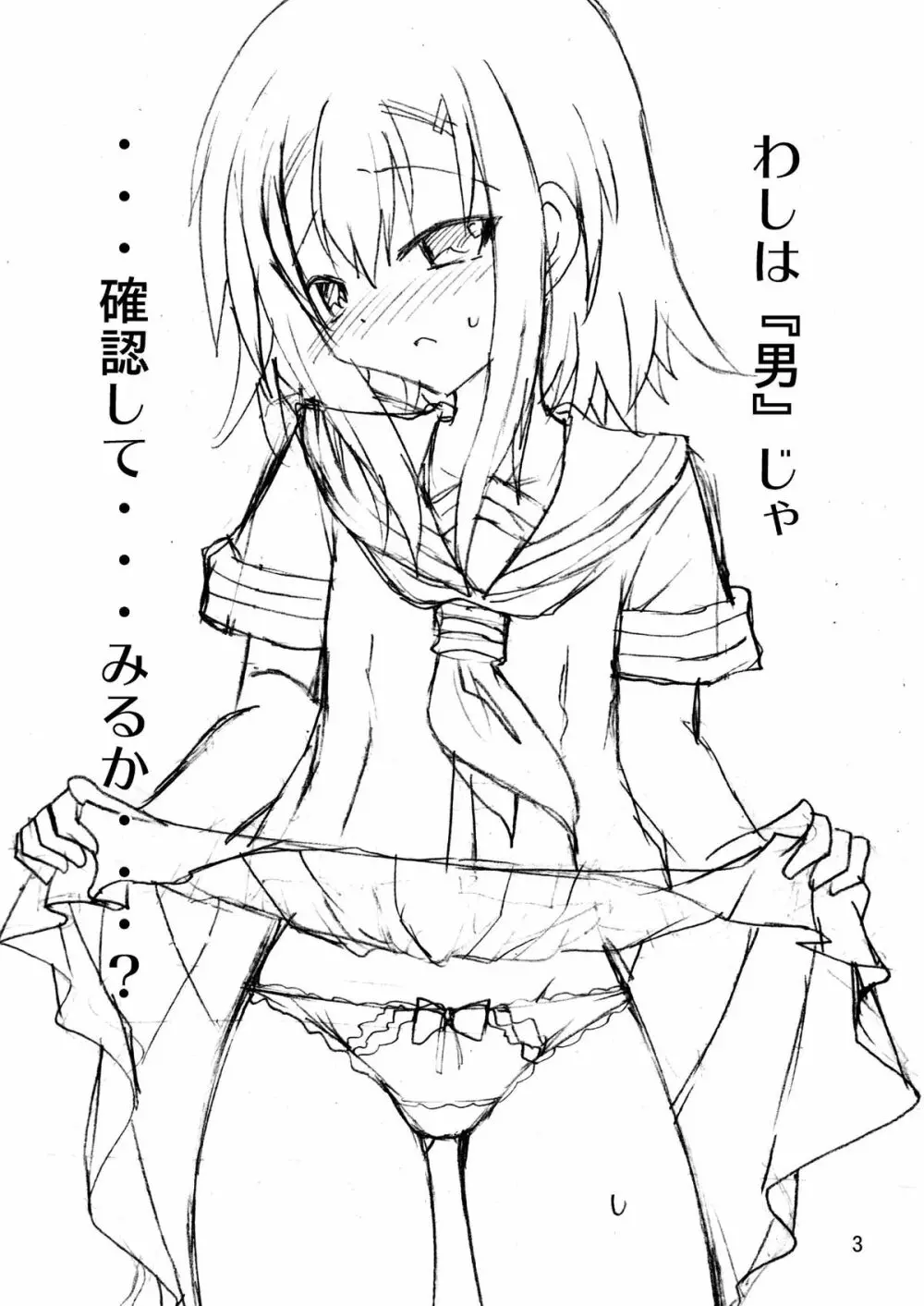 わしは『男』じゃ・・・確認して・・・みるか・・・? - page3