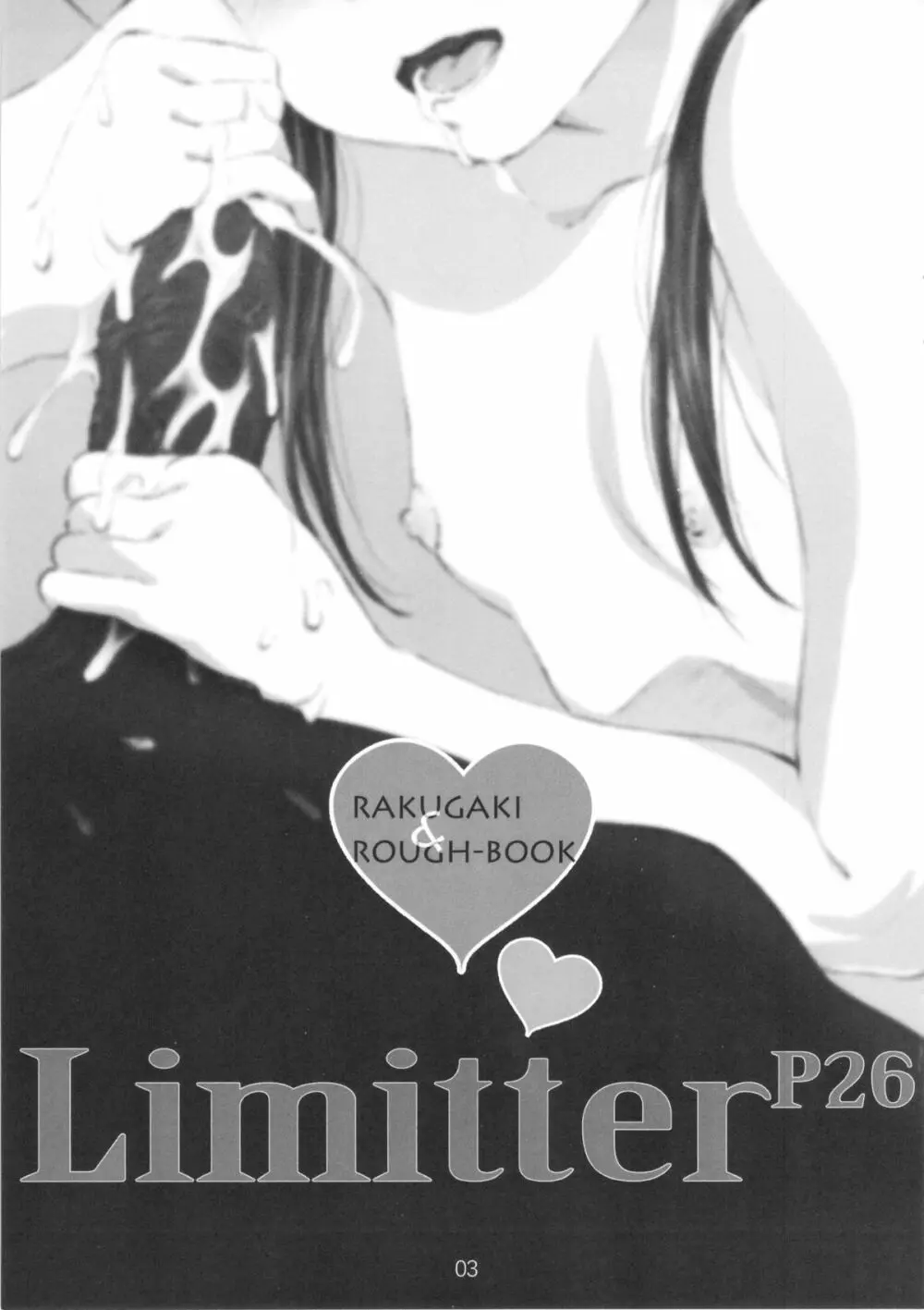 Limitter P26 - page3