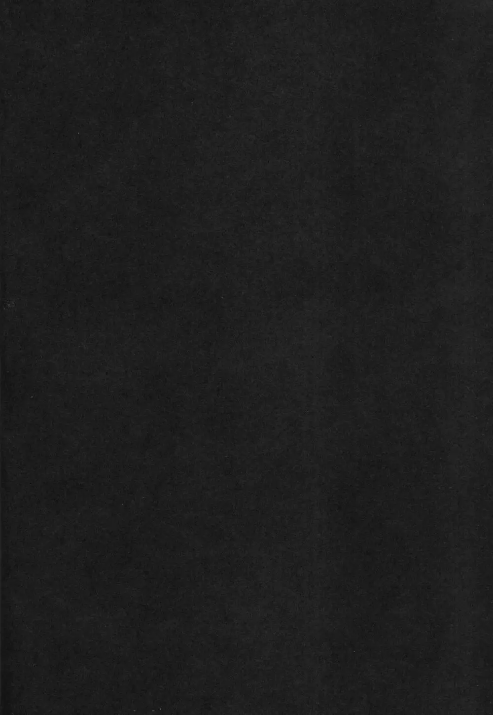 Black cat at night - page17