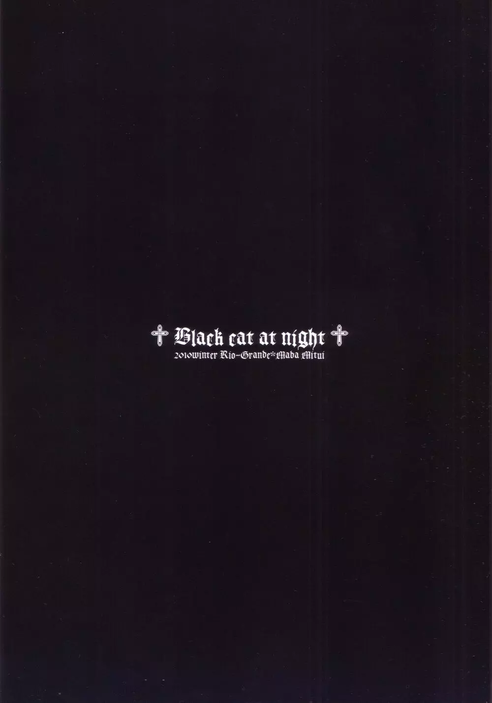 Black cat at night - page18