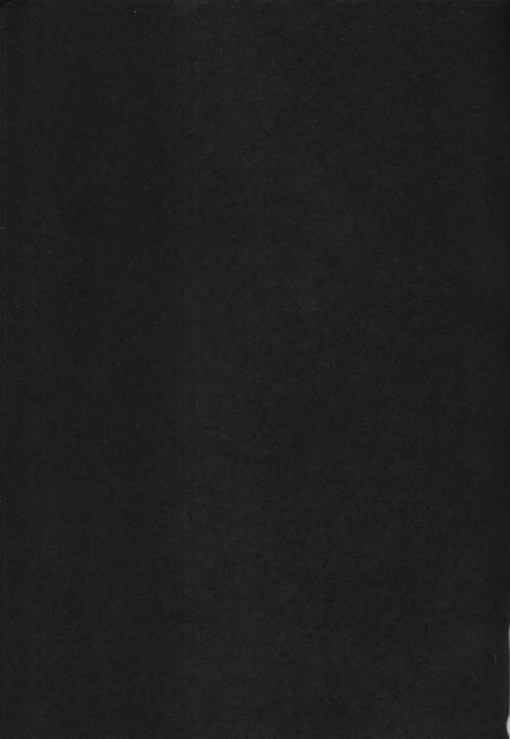 Black cat at night - page2