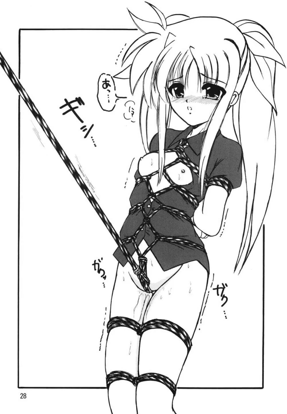 ストレージイグニッション 9 - page28