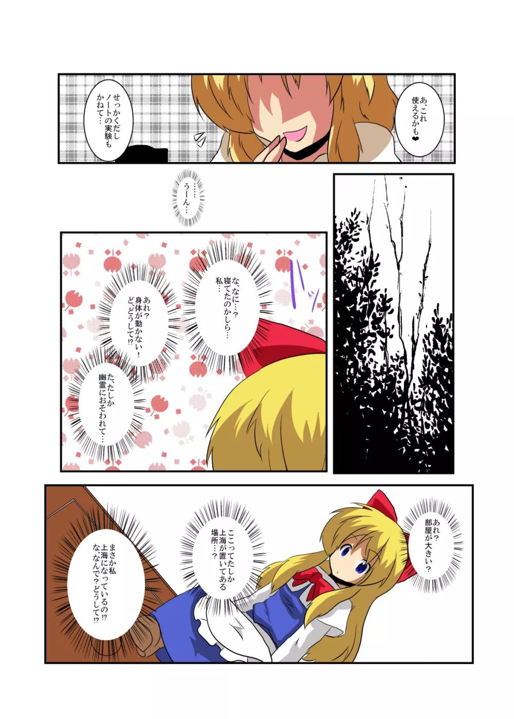 東方TS物語～アリス編～ - page10