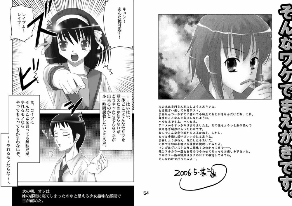 涼宮ハルヒの反転 - page13