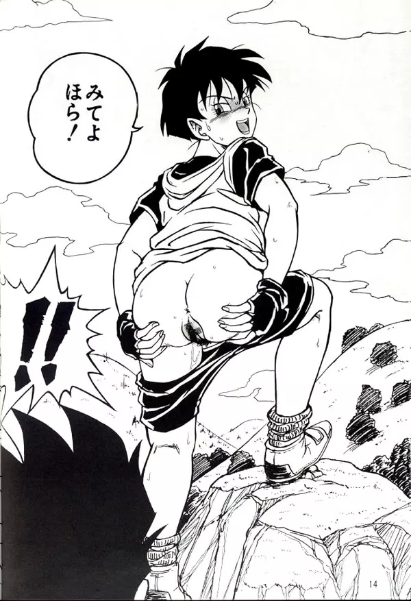 DRAGONBALL H まぐわい巻二 - page13
