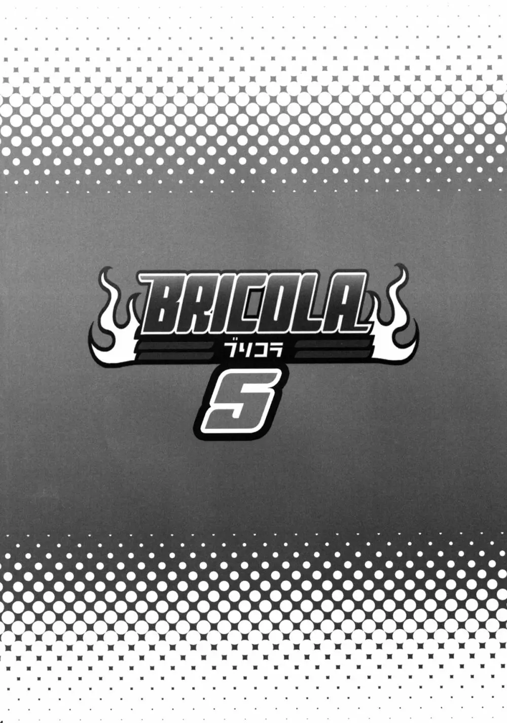 BRICOLA5 - page3