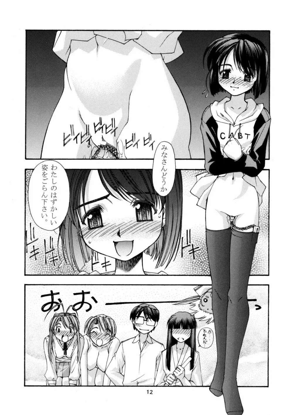 趣味の同人誌１１ - page11