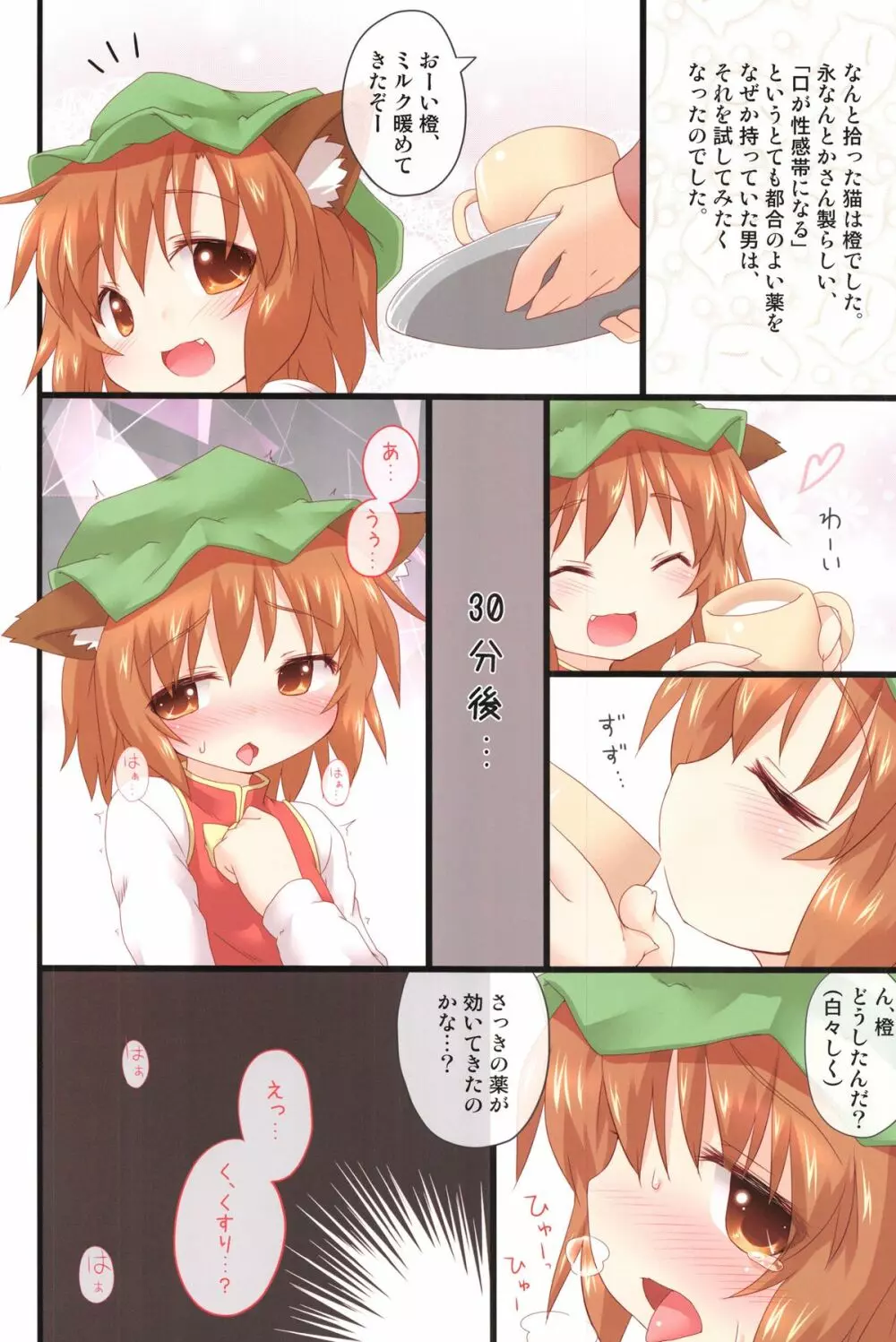 道端で猫を拾いました。 - page3