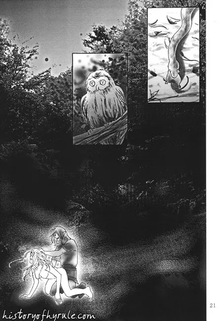 X The Dark Legend of Zelda - page21
