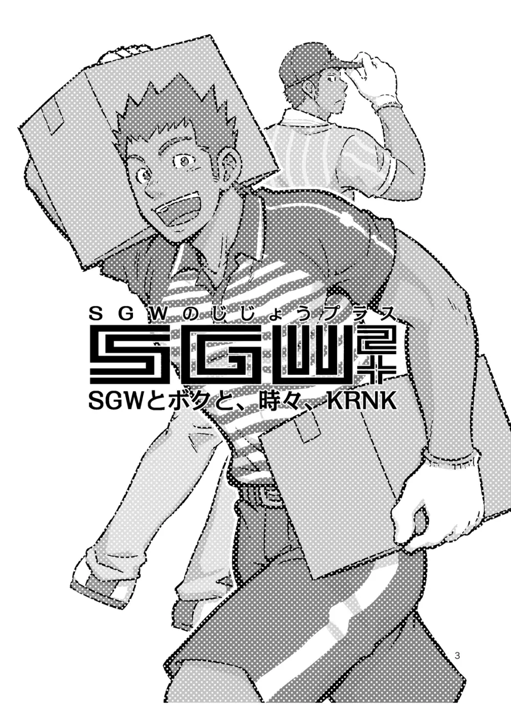 SGW2+ - page2