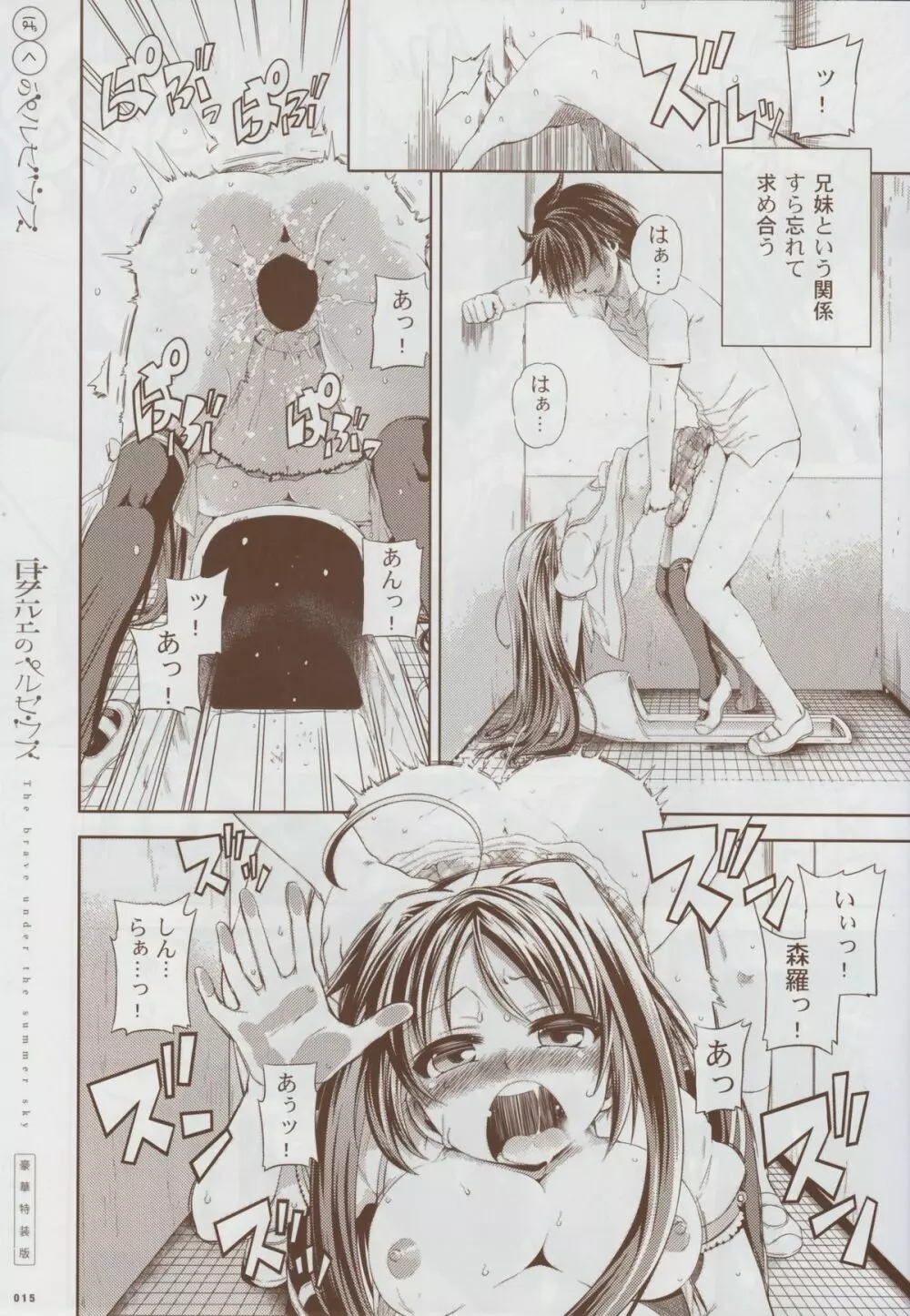 夏空のペルセウス 豪華版おまけ冊子 - page14