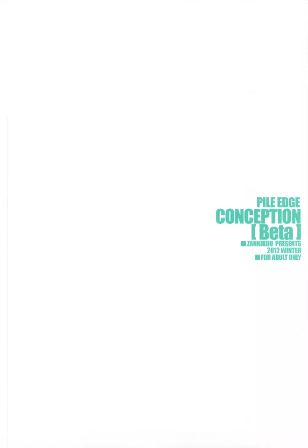 PILEDGE CONCEPTION - page32