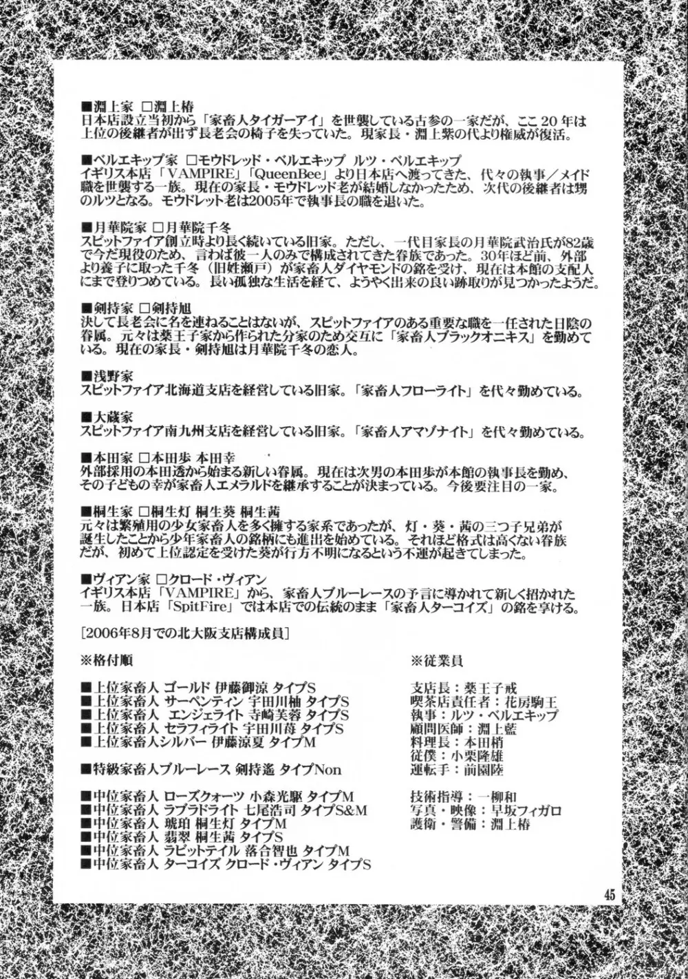 スピットファイア冷たい夜のシークエンス 2 - page44