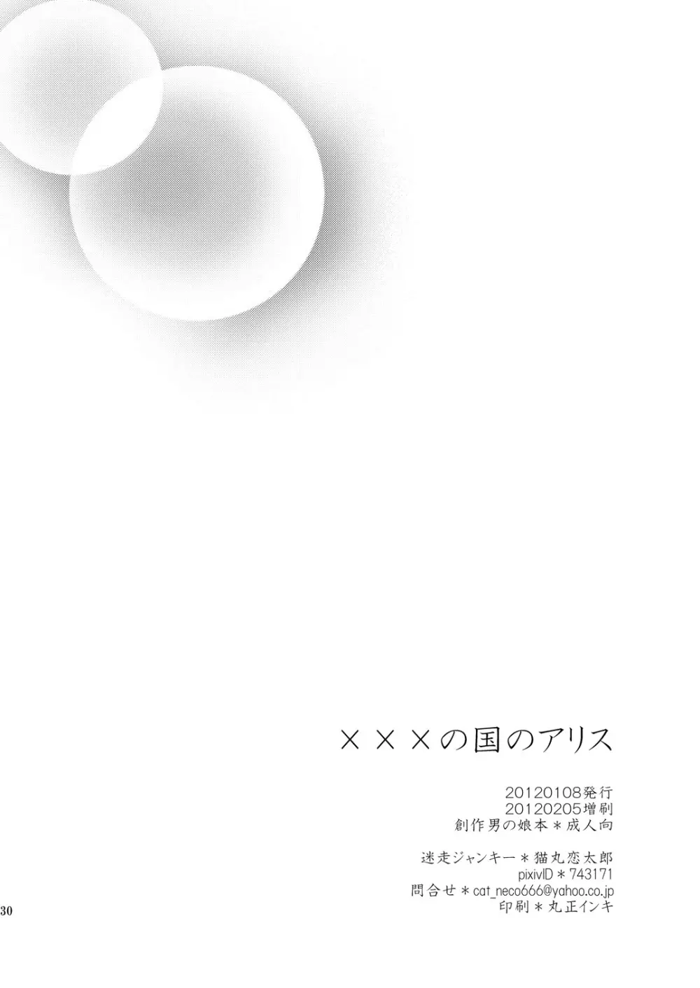 ×××の国のアリス - page29