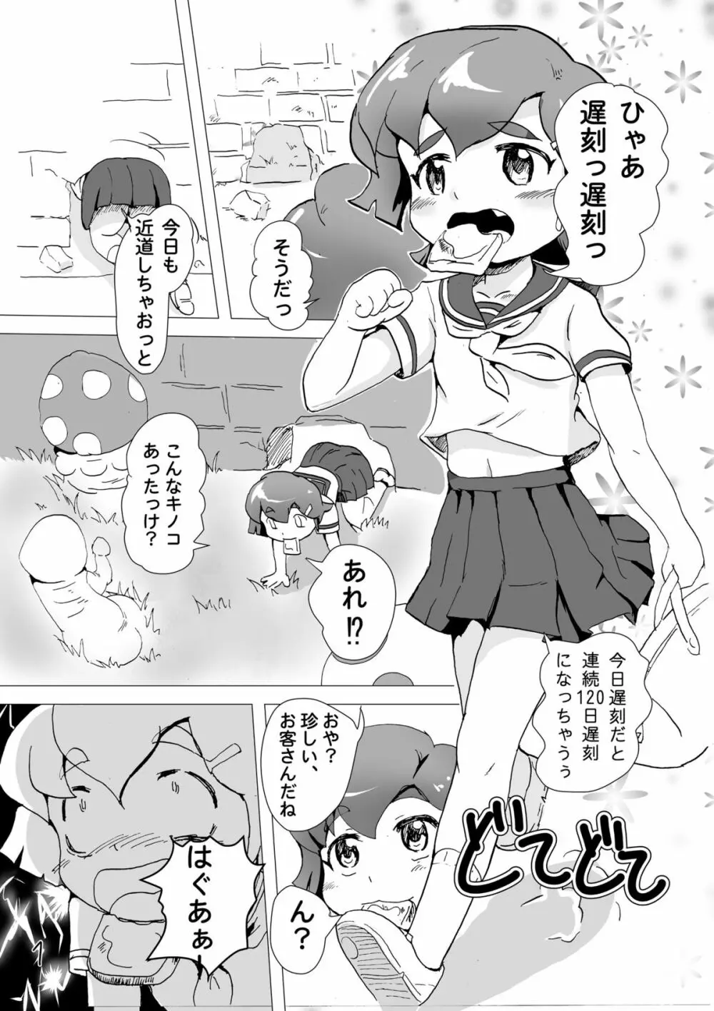 フライングマラー - page2