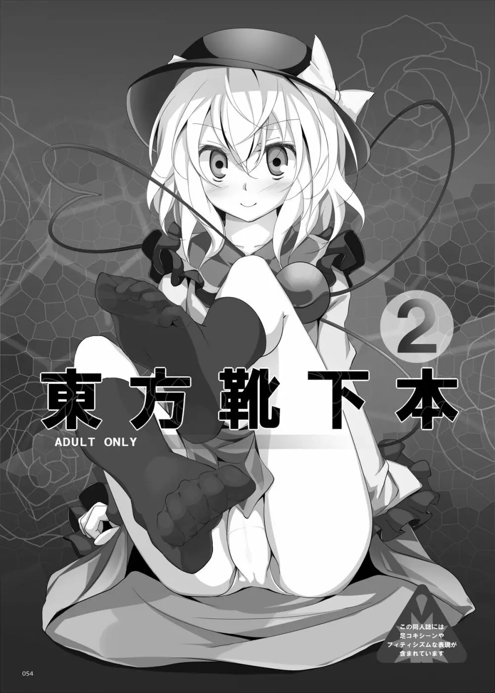 靴下大全 - page54