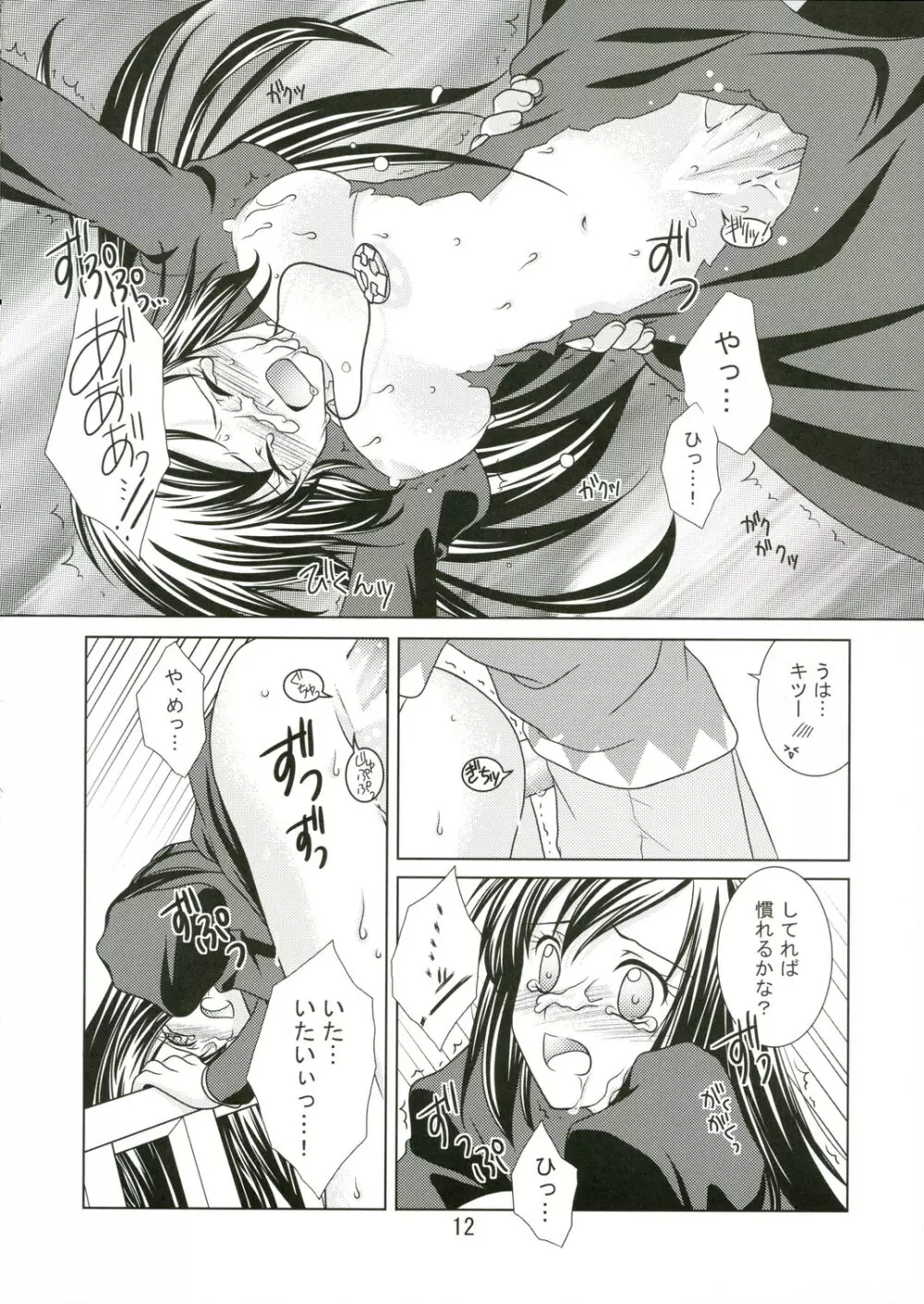 (C69) [VENOM (もりまりも、ZIN) mofu-mofu (マビノギ) - page11