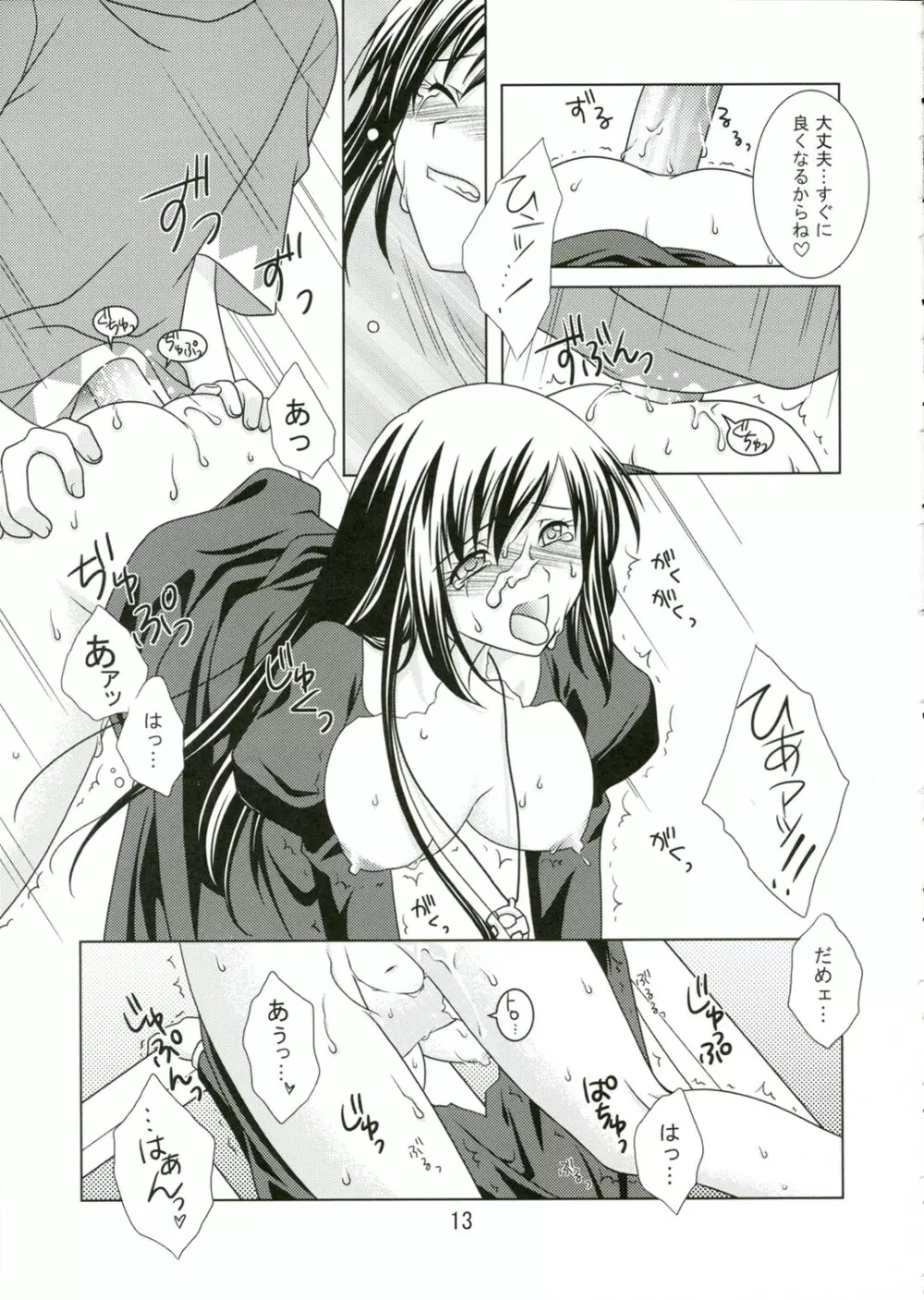 (C69) [VENOM (もりまりも、ZIN) mofu-mofu (マビノギ) - page12